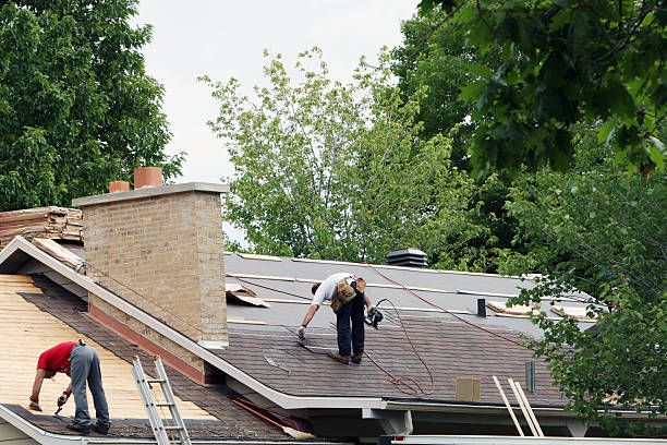 Best Local Roofing Companies  in Webster, TX